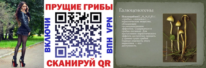 Купить закладки  Вольск  Галлюциногенные грибы GOLDEN TEACHER 